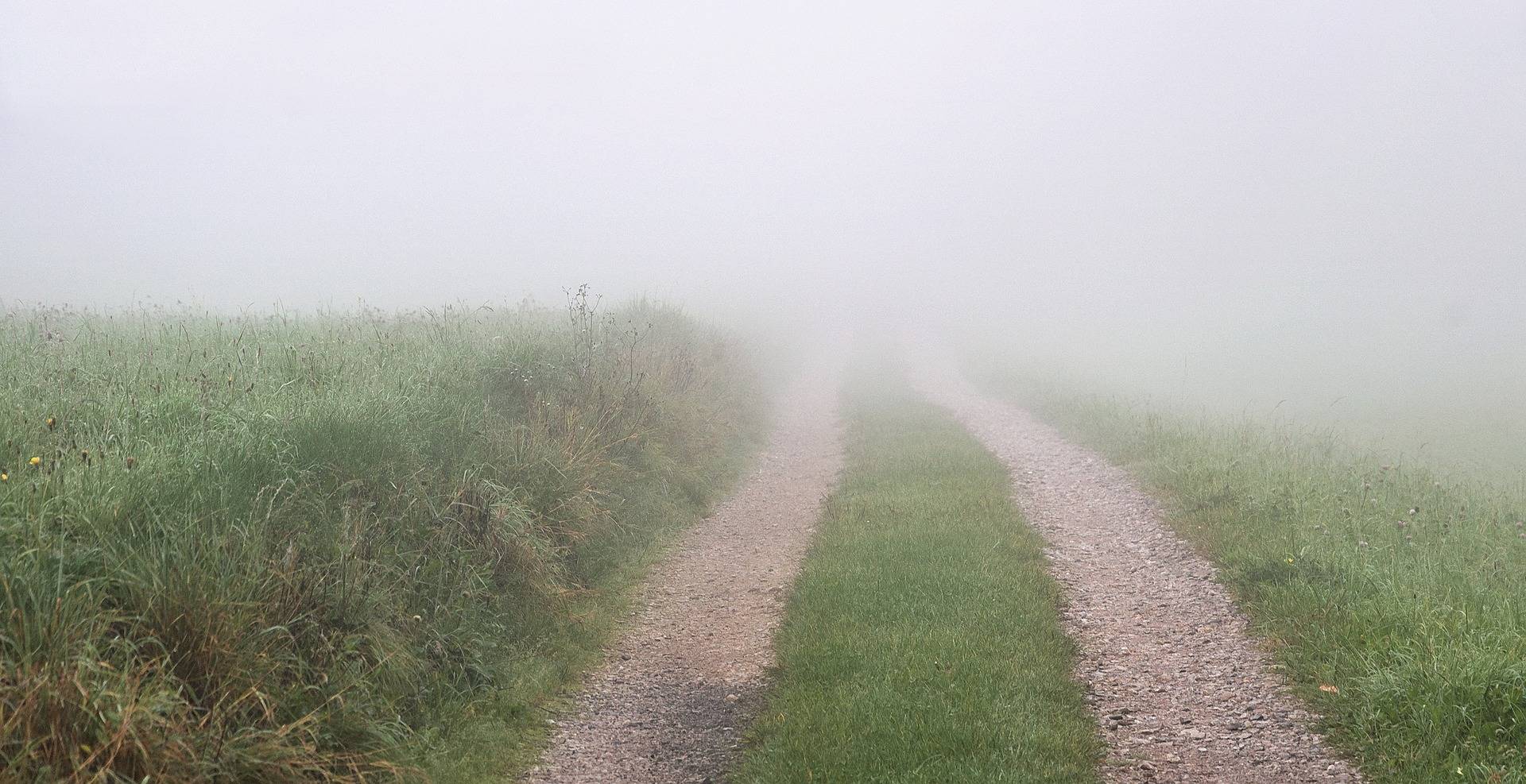 Brouillard