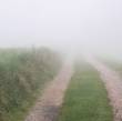 Brouillard