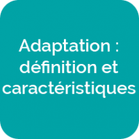 Adaptation définition et caractéristiques