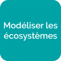 Modéliser les écosystèmes